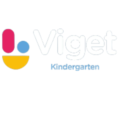 Logo de INSTITUTO VIGET