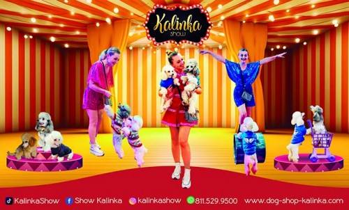KALINKA ED41R.jpg