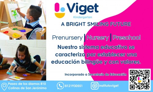 VIGET ED40.jpg